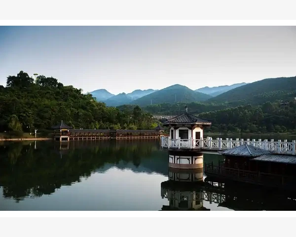 便秘干咳食疗方剂大全：自然缓解之选